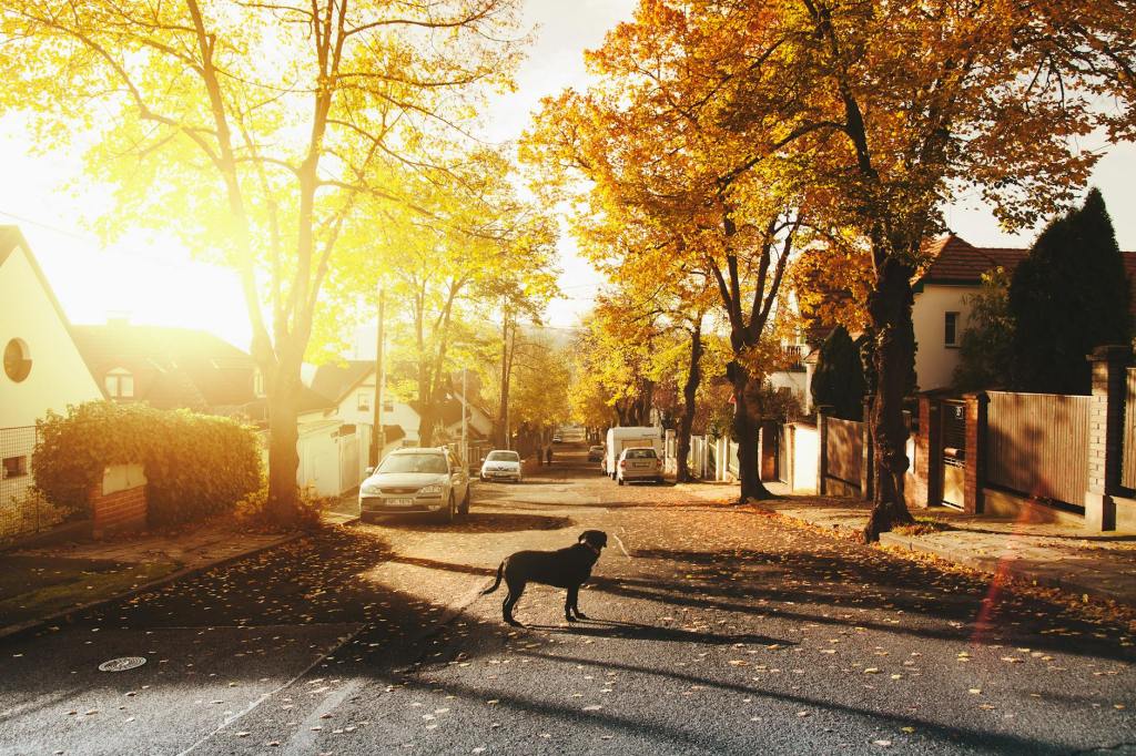 What is the most affordable & family-friendly part of the Chicago&nbsp;suburbs?